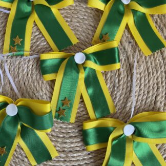 🇧🇷 Lacerote, mostra tua força Brasil! ✨🐾
