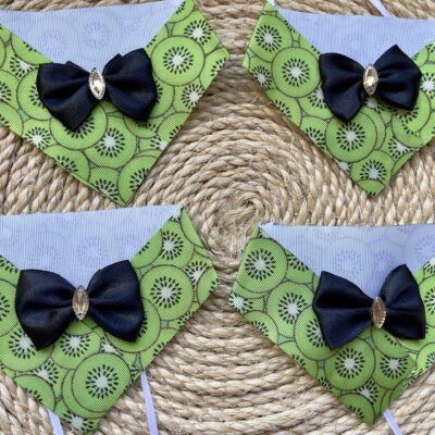 Bandana Kiwi Fresh 🥝 - 10 unidades
